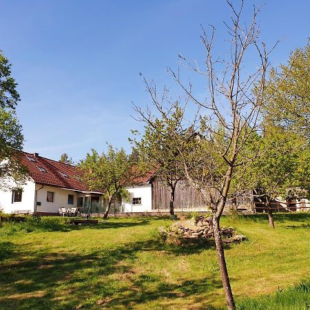 Die Alm In Schoellbuechl, Privatzimmer Sankt Martin  Экстерьер фото