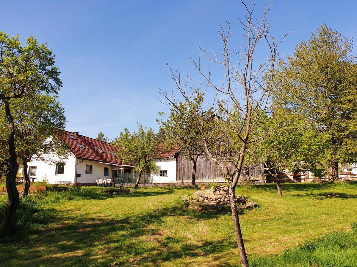 Die Alm In Schoellbuechl, Privatzimmer Sankt Martin  Экстерьер фото