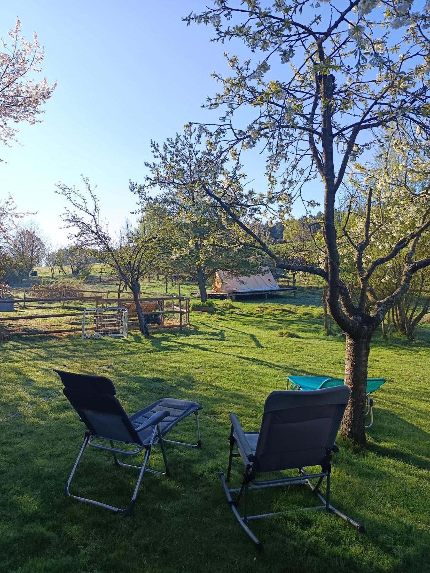Die Alm In Schoellbuechl, Privatzimmer Sankt Martin  Экстерьер фото